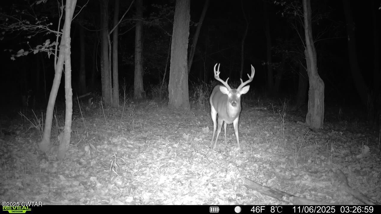 0 State Route 79 Ridgely, TN 38080 - Photo 29 of 30 016579003799660-99-3-11062025032659-SYFW