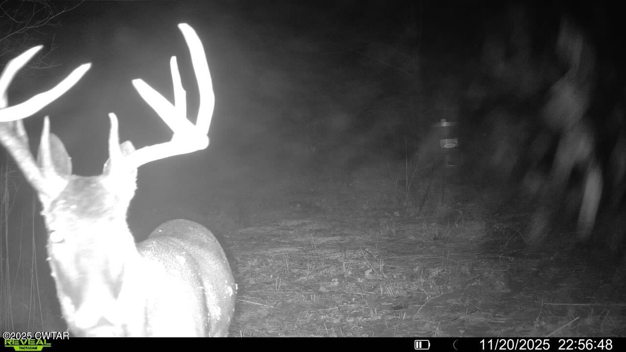 0 State Route 79 Ridgely, TN 38080 - Photo 30 of 30 016579006837756-33-2-11202025225648-SYFW