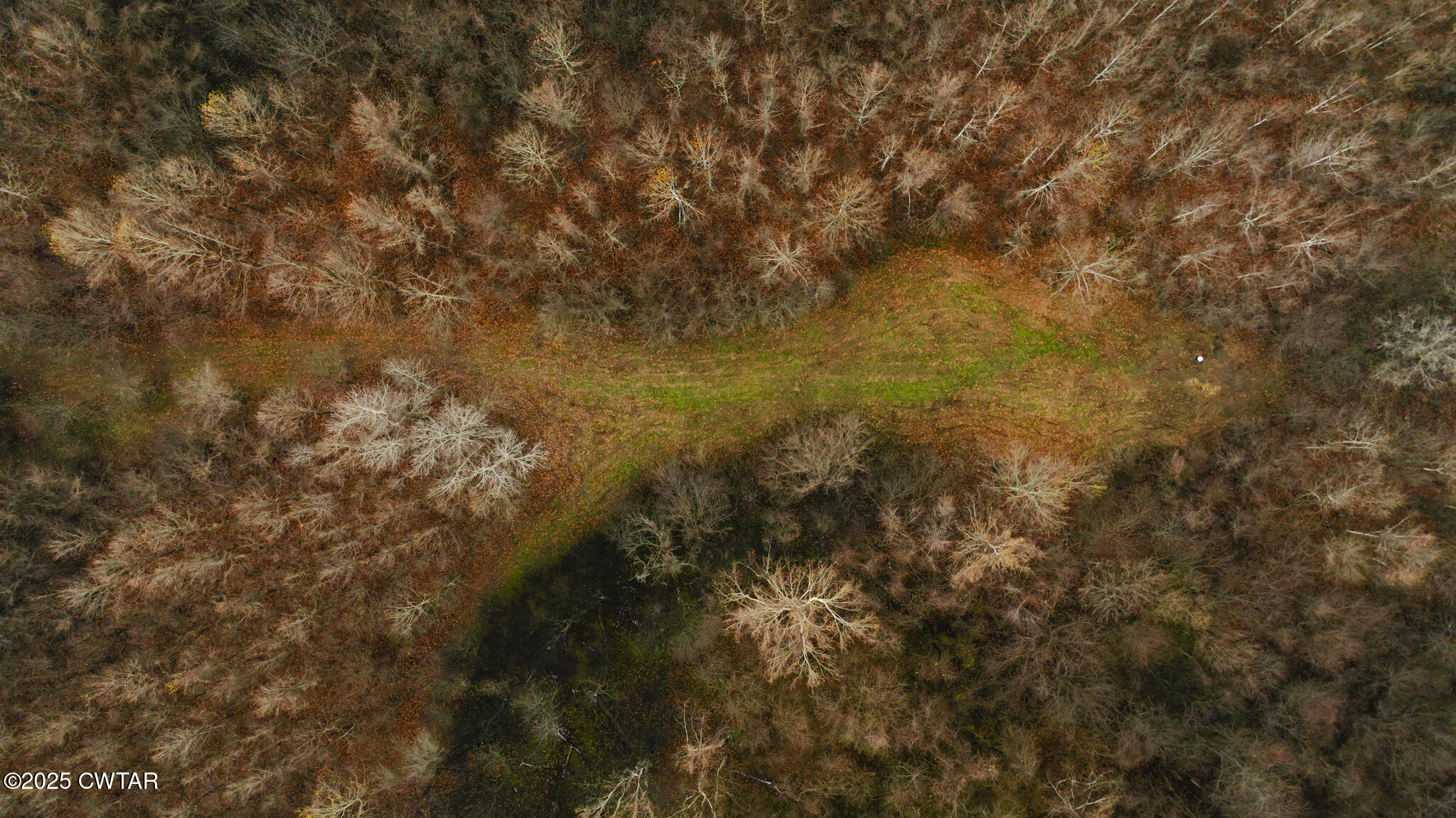 0 State Route 79 Ridgely, TN 38080 - Photo 3 of 30 a view of a yard