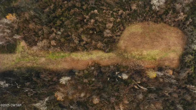 a view of a yard of a house