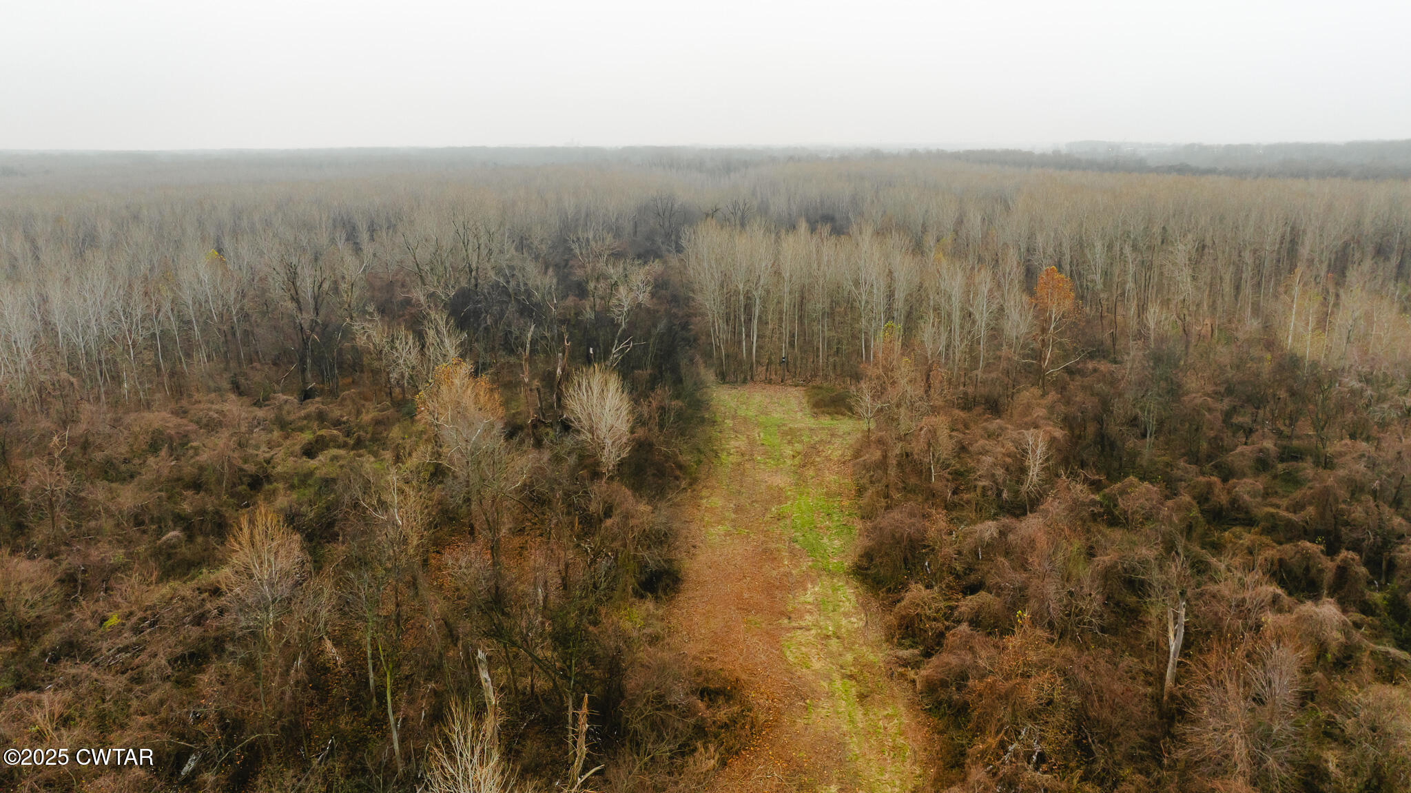 0 State Route 79 Ridgely, TN 38080 - Photo 5 of 30 a view of a space with a lake