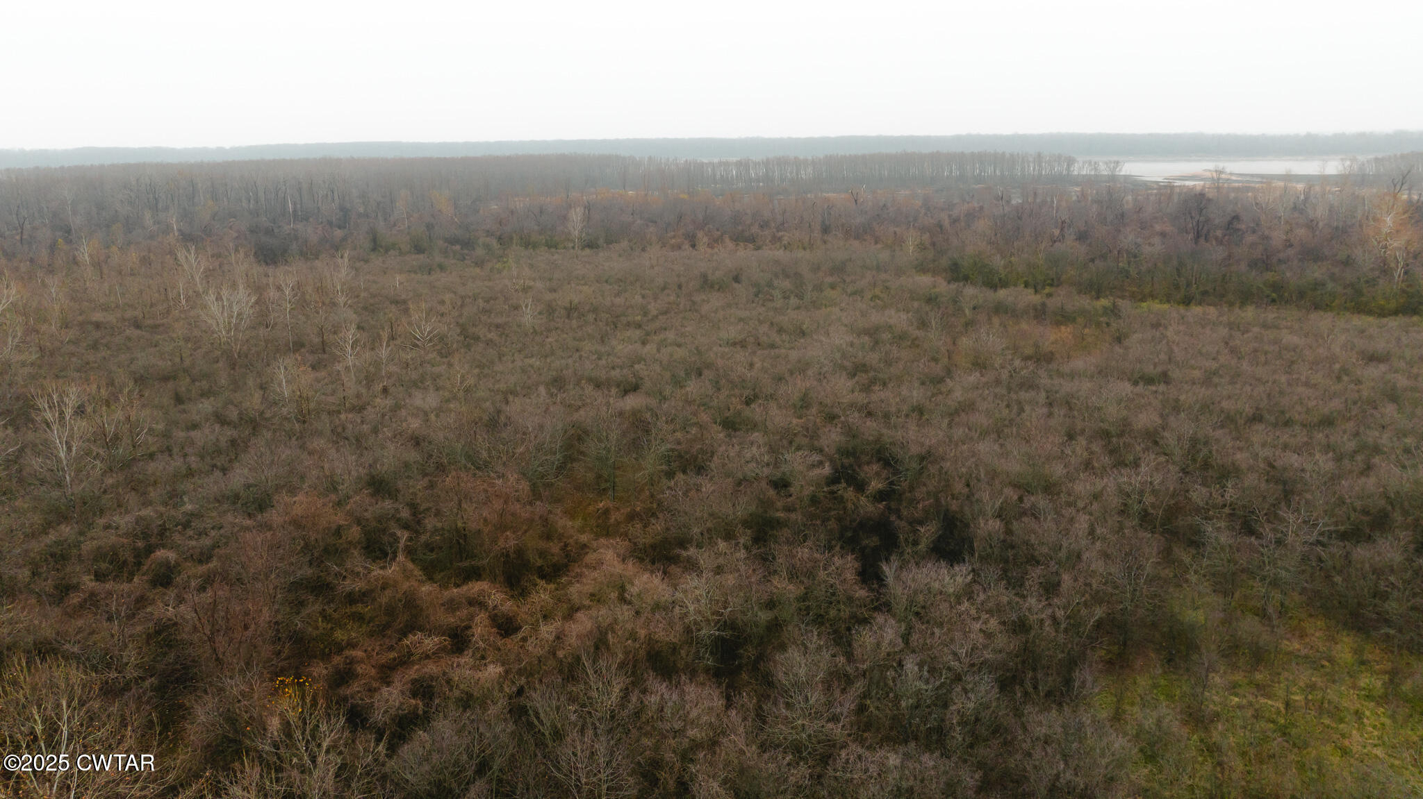 0 State Route 79 Ridgely, TN 38080 - Photo 8 of 30 DJI_20251204095627_0034_D