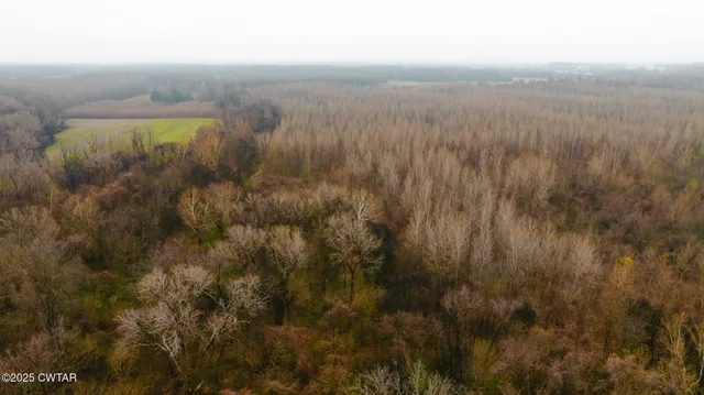 a view of a dry yard