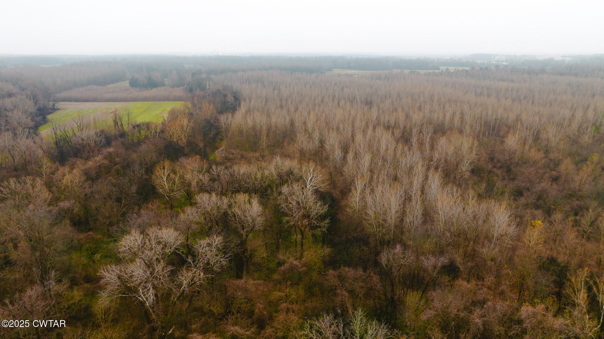 0 State Route 79 Ridgely, TN 38080 - Photo 9 of 30 a view of a city and green space