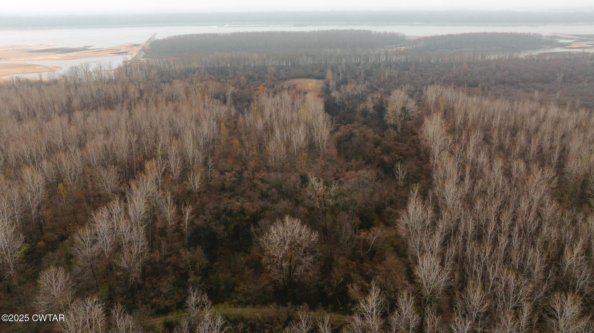 0 State Route 79 Ridgely, TN 38080 - Photo 10 of 30 a view of a yard and an ocean