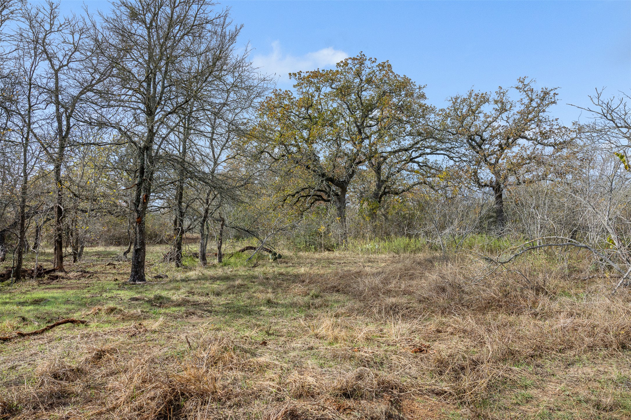 1050 Bugtussle Lane Luling, TX 78648 - Photo 7 of 14 a fire hydrant in the middle of a field