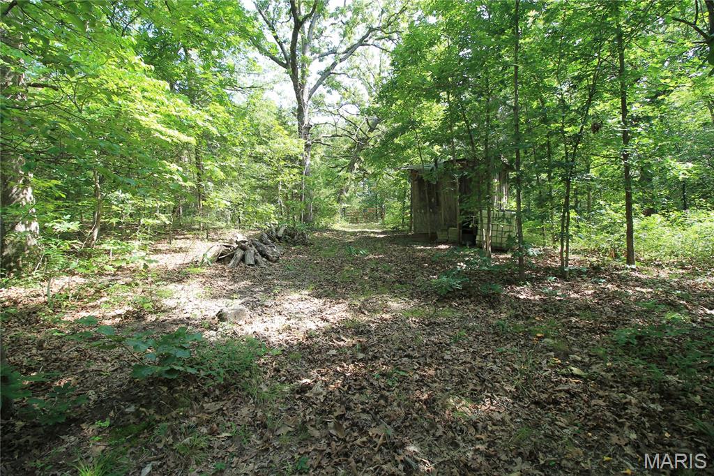 0 Gibson Road Lonedell, MO 63060 - Photo 6 of 28