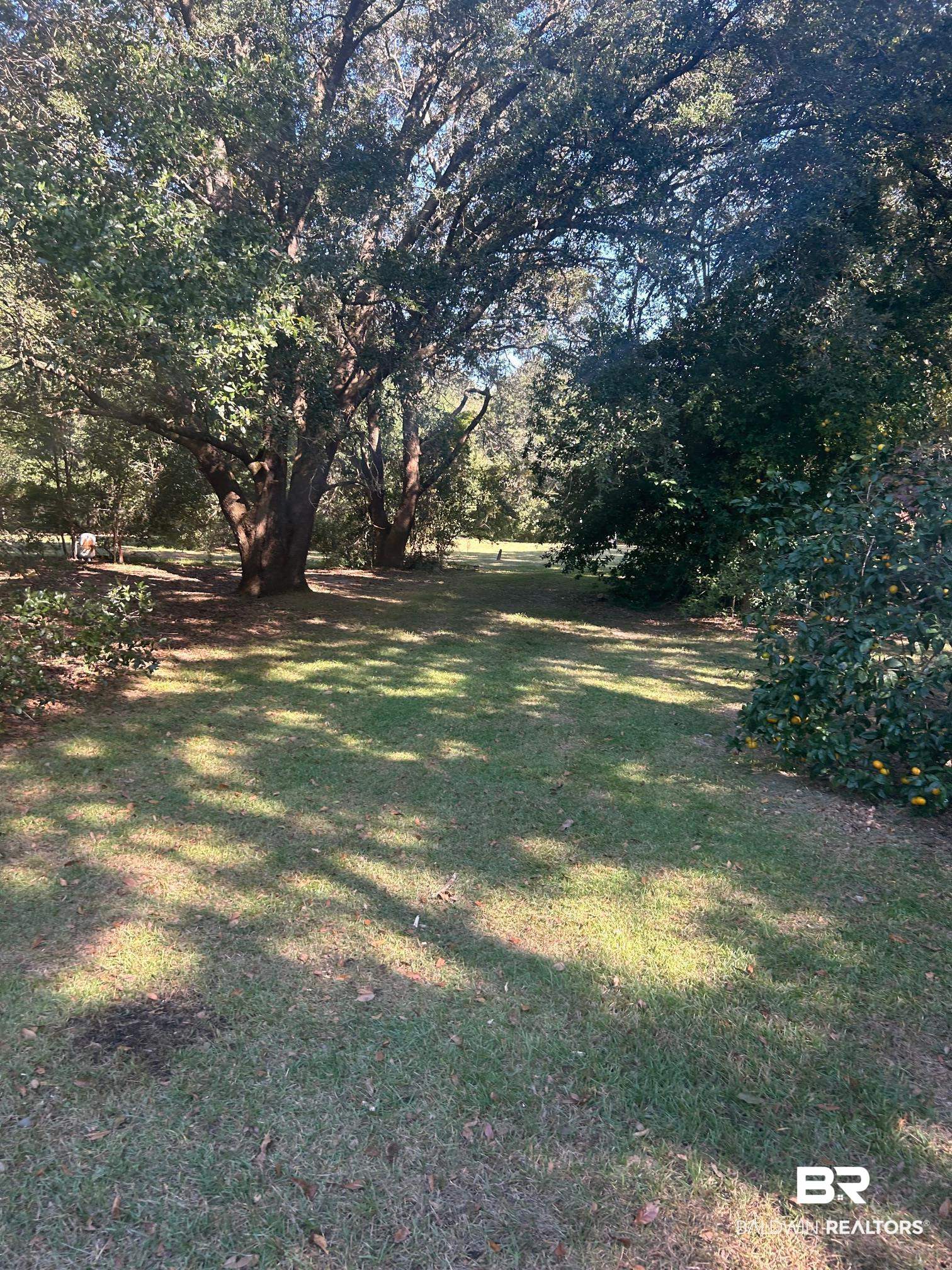 181 E Highway Fairhope, AL 36532 - Photo 2 of 6 View of yard