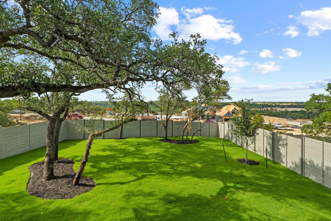 3209 Moon Ridge Road Georgetown, TX 78628 - Photo 23 of 28 a view of a backyard with tree s