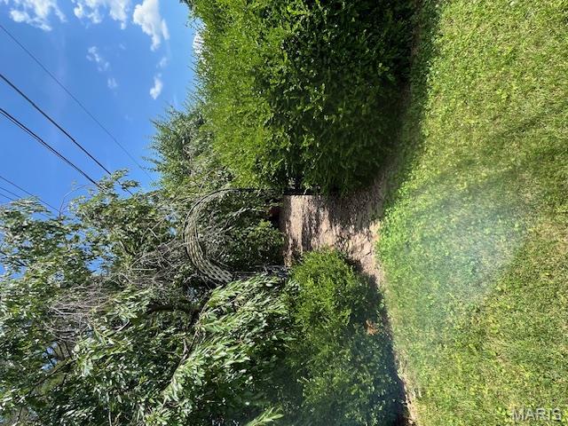 644 Morris Avenue Lemay, MO 63125 - Photo 32 of 43