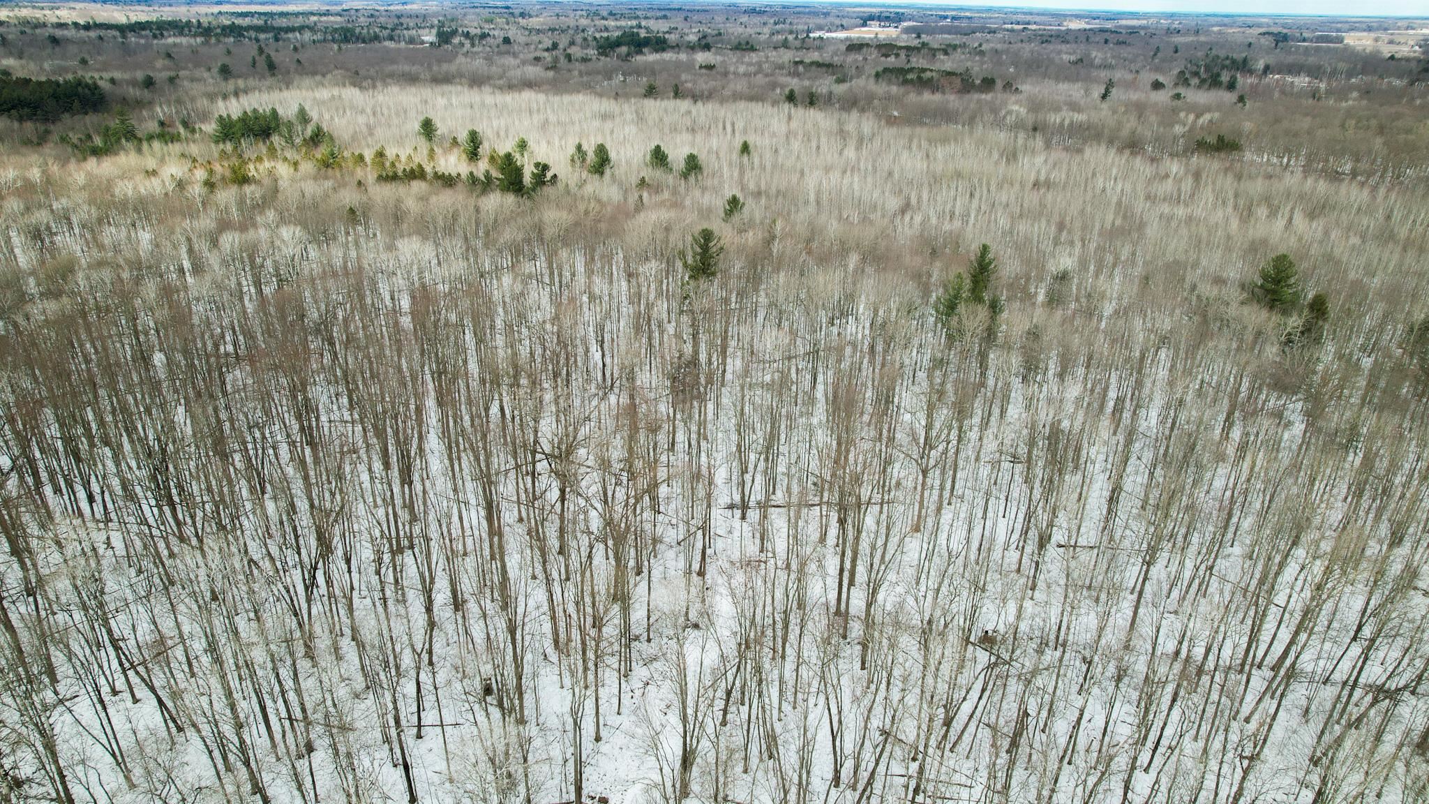 0 West Fike Road Sanford, MI 48657 - Photo 2 of 8