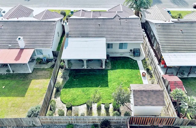 a view of a backyard with plants