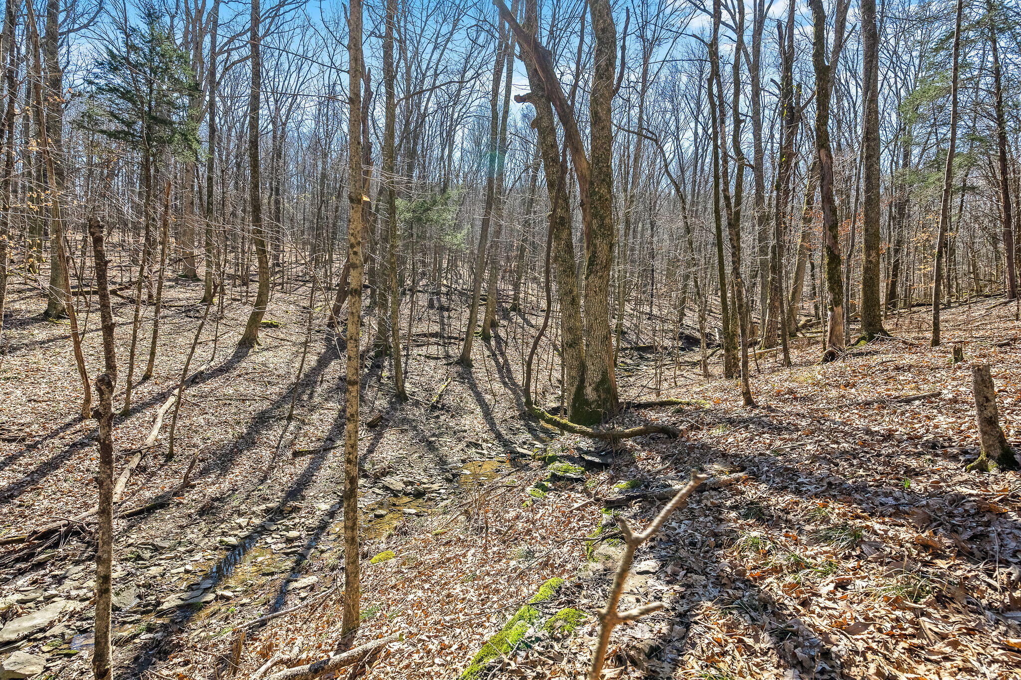 Tbd Franklin Road, Unit TR 3 Murfreesboro, TN 37128 - Photo 16 of 16 18-web-or-mls-Franklin Rd 18