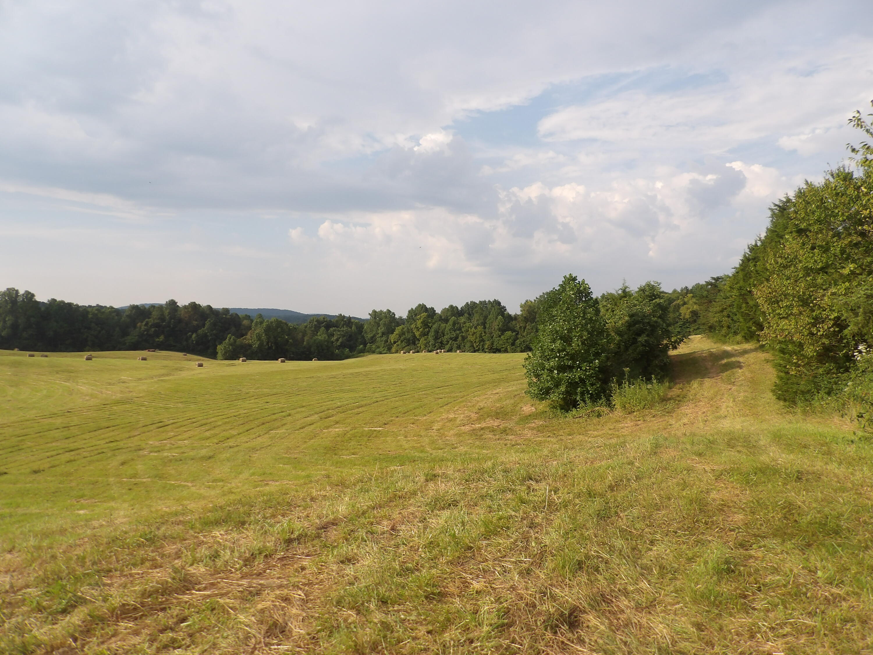 371 Dug Road Monticello, KY 42633 - Photo 3 of 18 103_2394