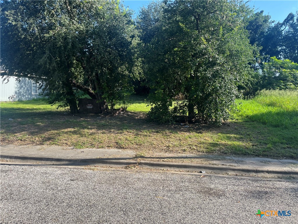 706 East 2nd Street Victoria, TX 77901 - Photo 2 of 2 a view of a yard with a tree
