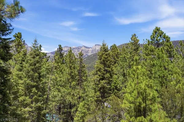 $399,000 | 3953 Ski Trail Circle, Mount Charleston, NV 89124
