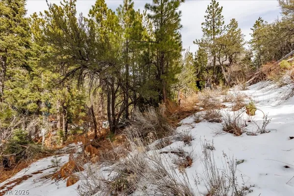 $399,000 | 3953 Ski Trail Circle, Mount Charleston, NV 89124