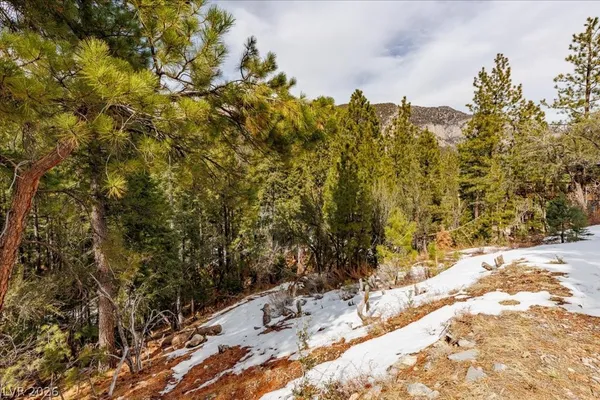 $399,000 | 3953 Ski Trail Circle, Mount Charleston, NV 89124