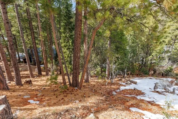 $399,000 | 3953 Ski Trail Circle, Mount Charleston, NV 89124
