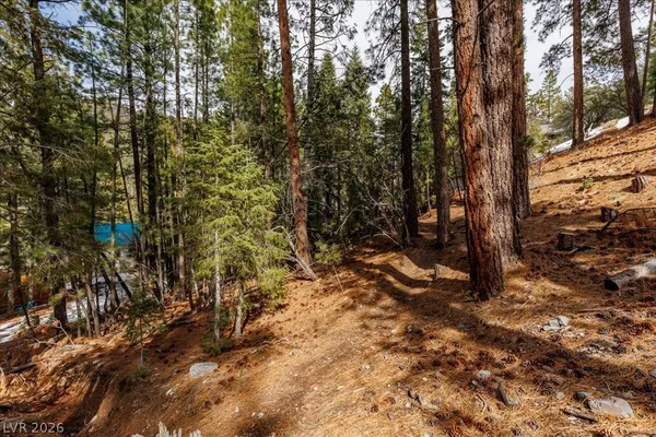 $399,000 | 3953 Ski Trail Circle, Mount Charleston, NV 89124