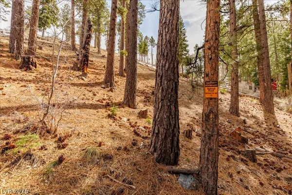 $399,000 | 3953 Ski Trail Circle, Mount Charleston, NV 89124