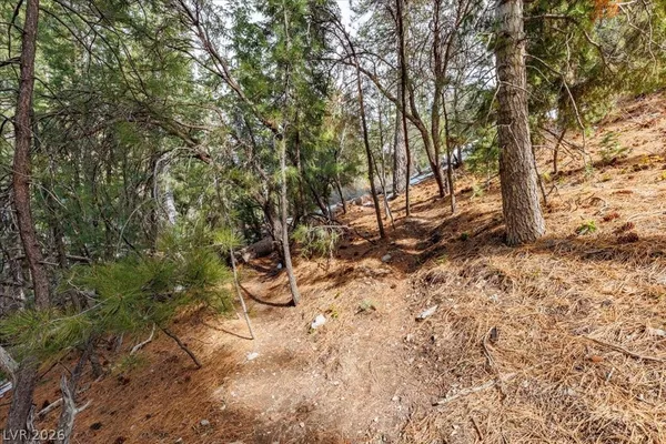 $399,000 | 3953 Ski Trail Circle, Mount Charleston, NV 89124