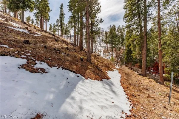 $399,000 | 3953 Ski Trail Circle, Mount Charleston, NV 89124