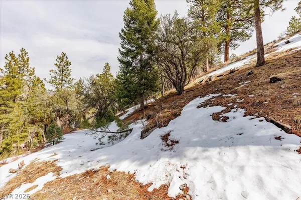 $399,000 | 3953 Ski Trail Circle, Mount Charleston, NV 89124