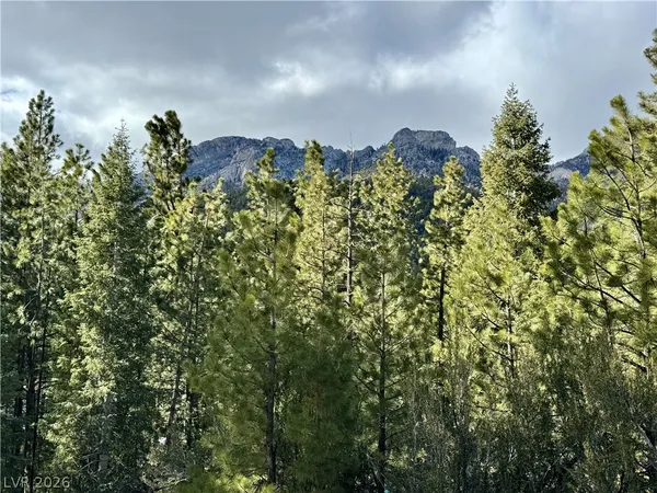 $399,000 | 3953 Ski Trail Circle, Mount Charleston, NV 89124