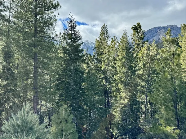 $399,000 | 3953 Ski Trail Circle, Mount Charleston, NV 89124
