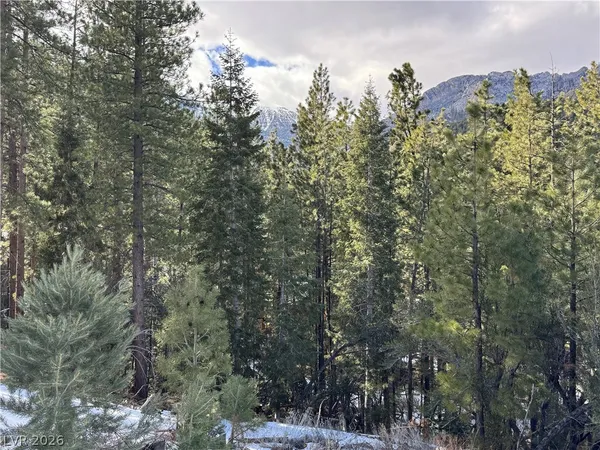 $399,000 | 3953 Ski Trail Circle, Mount Charleston, NV 89124