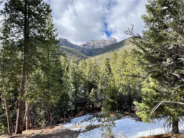 $399,000 | 3953 Ski Trail Circle, Mount Charleston, NV 89124