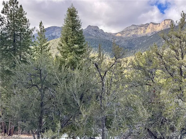 $399,000 | 3953 Ski Trail Circle, Mount Charleston, NV 89124
