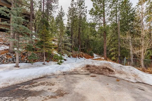 $399,000 | 3953 Ski Trail Circle, Mount Charleston, NV 89124