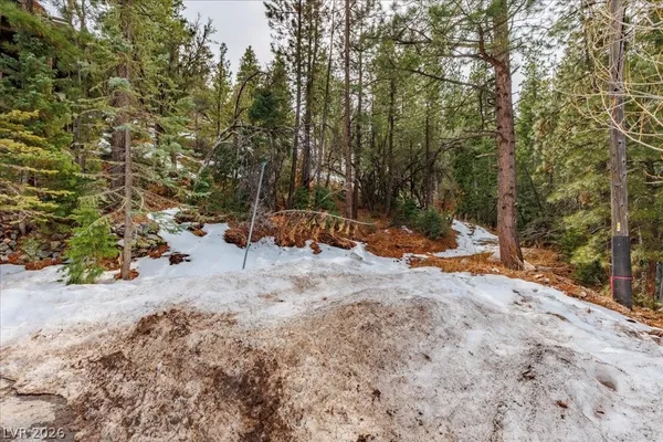 $399,000 | 3953 Ski Trail Circle, Mount Charleston, NV 89124