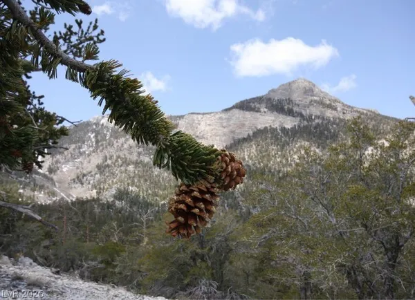 $399,000 | 3953 Ski Trail Circle, Mount Charleston, NV 89124