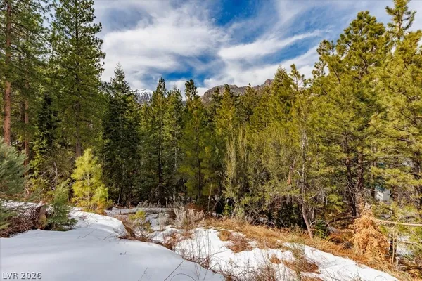 $399,000 | 3953 Ski Trail Circle, Mount Charleston, NV 89124