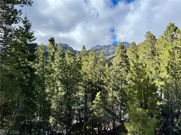 $399,000 | 3953 Ski Trail Circle, Mount Charleston, NV 89124