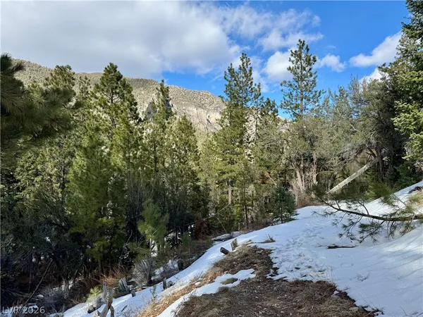 $399,000 | 3953 Ski Trail Circle, Mount Charleston, NV 89124