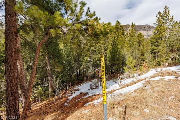 $399,000 | 3953 Ski Trail Circle, Mount Charleston, NV 89124