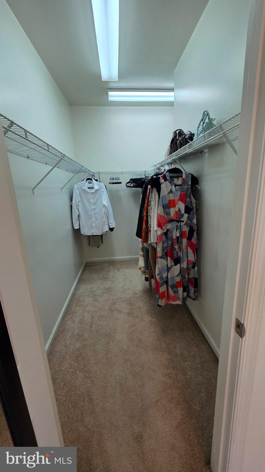 8418 Geneva Road Pasadena, MD 21122 - Photo 19 of 53 Primary Spacious walk-in closet