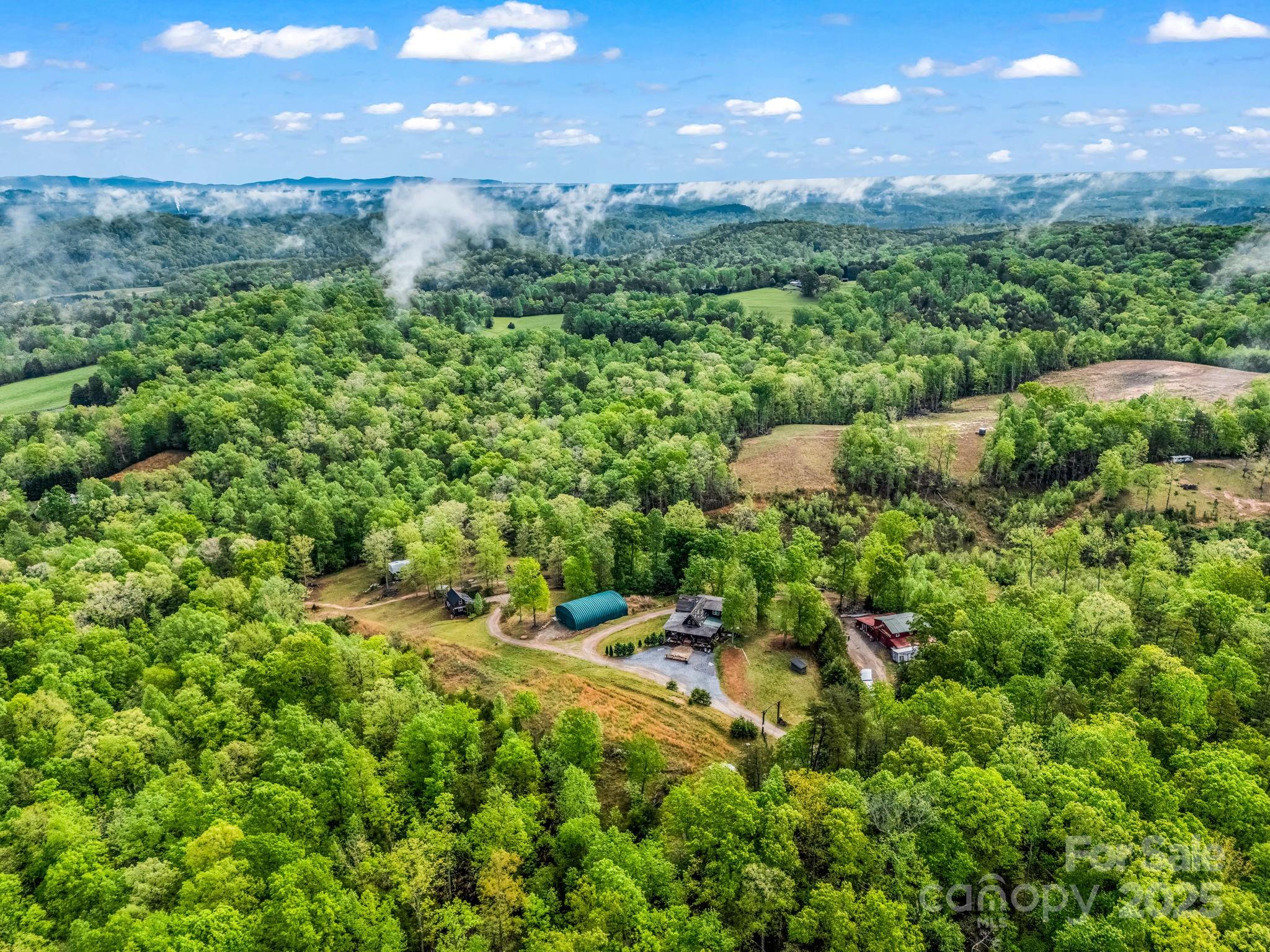 1002 C C Road Rutherfordton, NC 28139 - Photo 3 of 48 a view of a yard with a tree