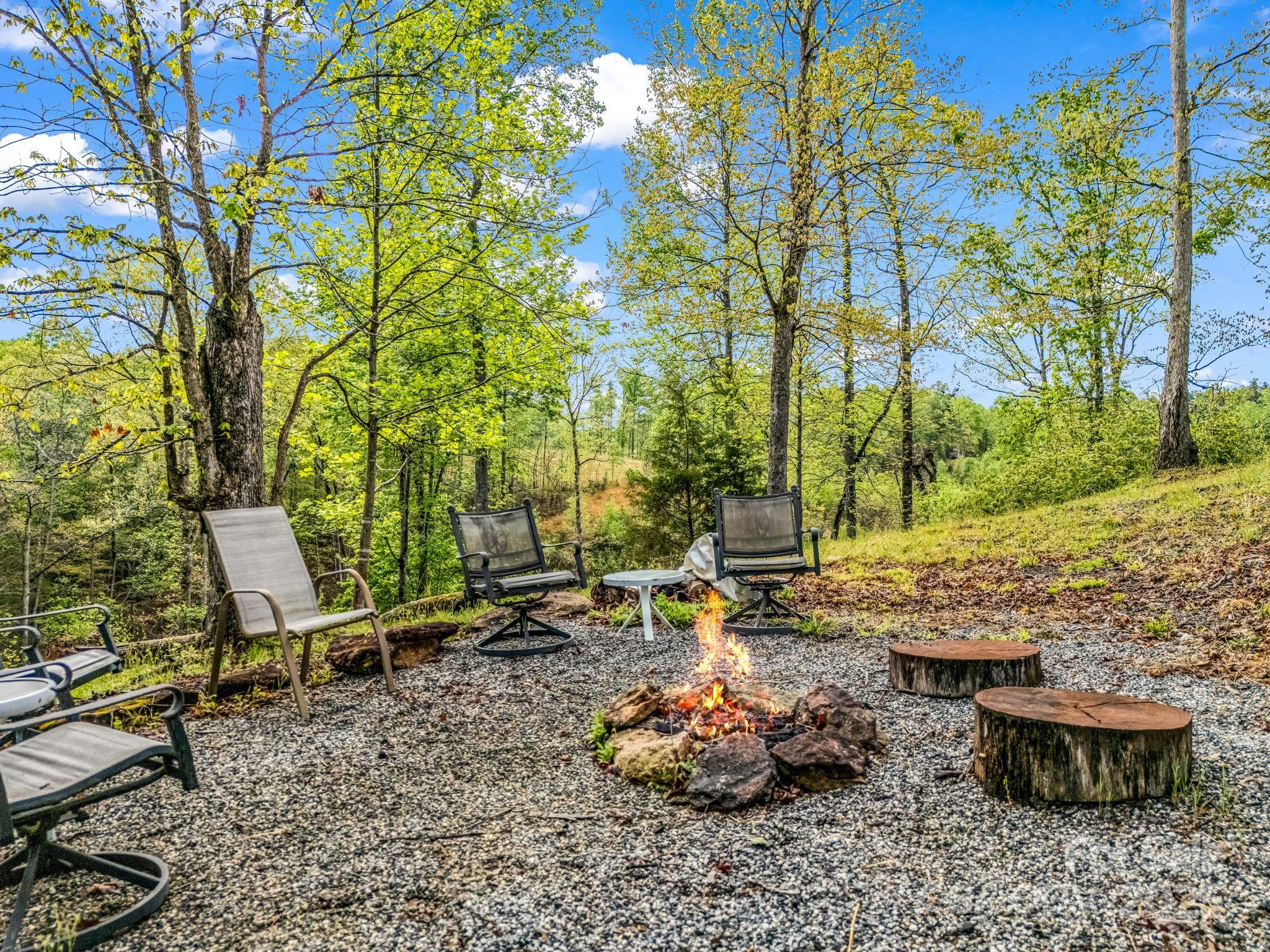 1002 C C Road Rutherfordton, NC 28139 - Photo 40 of 48 a view of a backyard with plants and trees