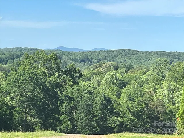 a view of a green field