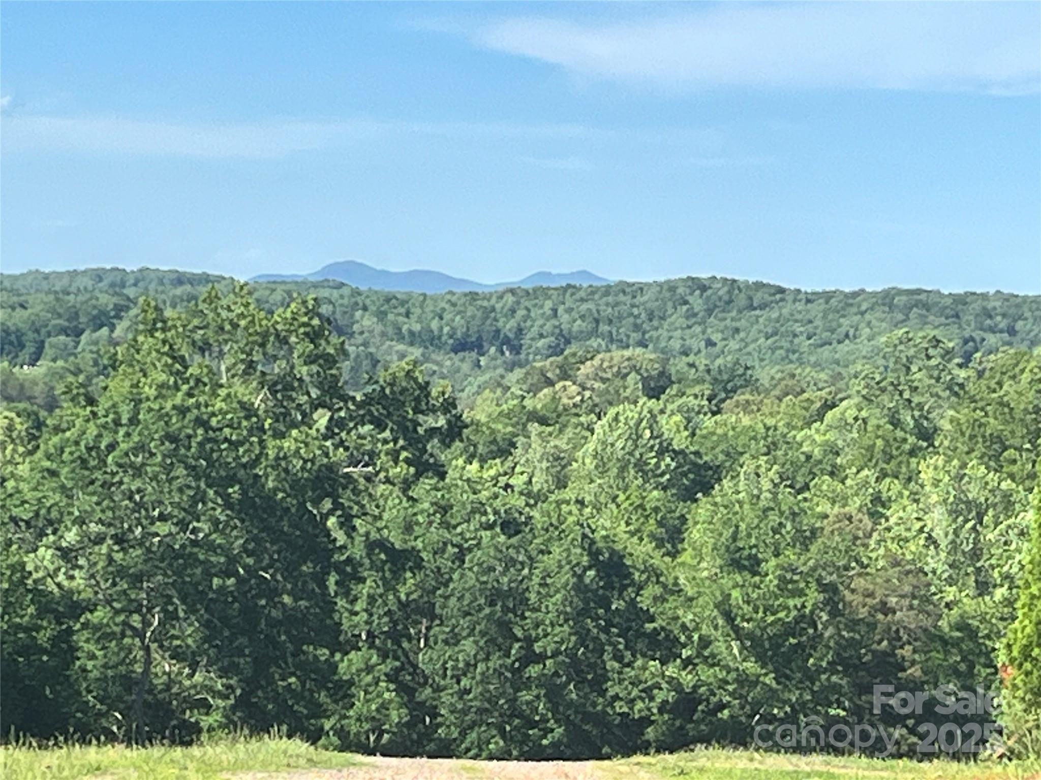 1002 C C Road Rutherfordton, NC 28139 - Photo 4 of 48 a view of a green field