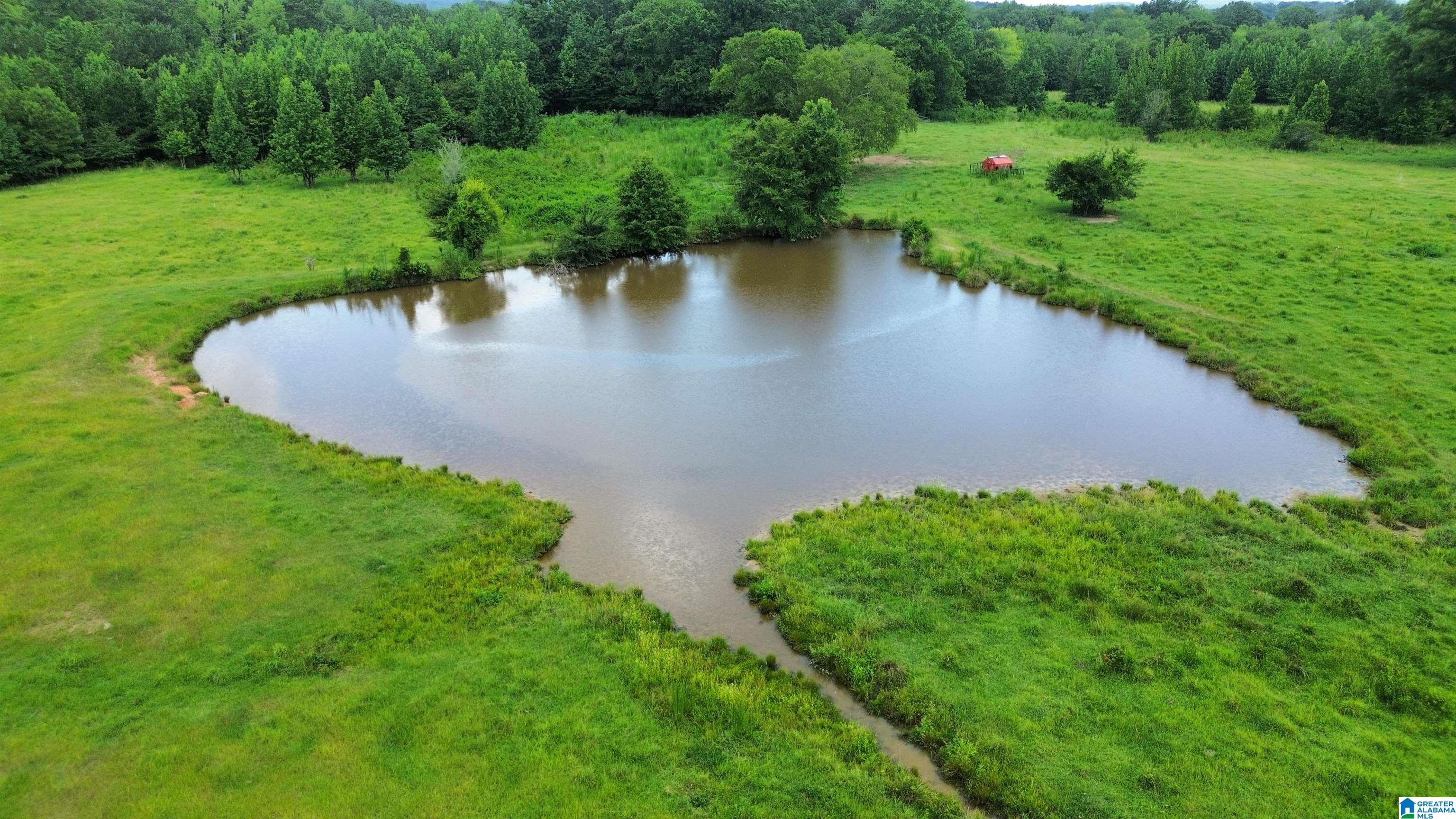 0 Risers Mill Road Alpine, AL 35014 - Photo 25 of 25