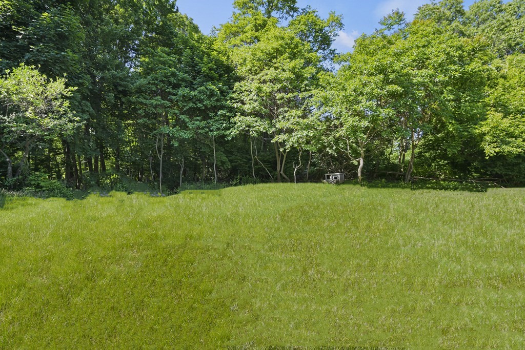 40 Orton Street Worcester, MA 01604 - Photo 28 of 28 a view of green field with trees in the background