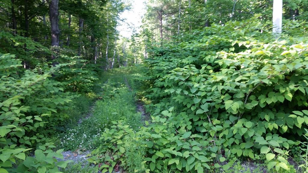 M24-l9 Morrill Road Morrill, ME 04952 - Photo 23 of 23 Photo