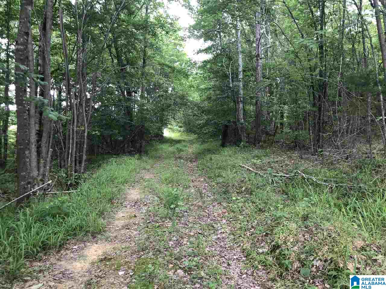 0 Maple Crest Lane Hayden, AL 35079 - Photo 19 of 30