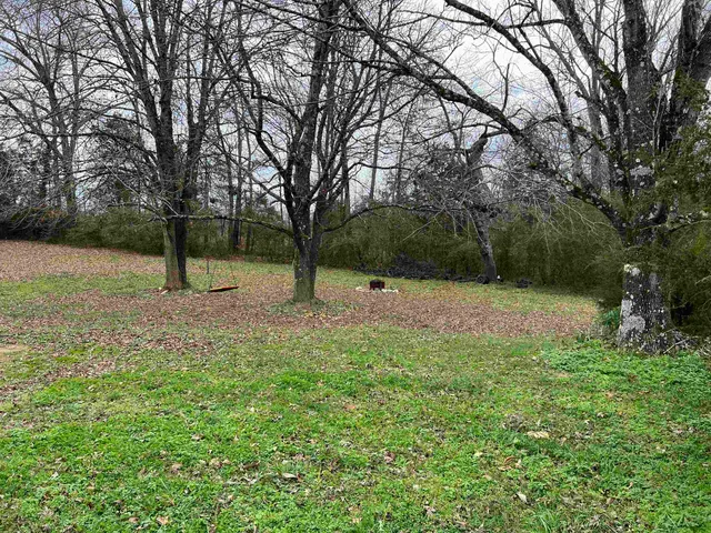a view of outdoor space with deck and trees